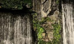 Featured image of post Docker Compose Frigate - NVR