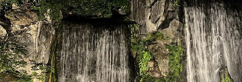 Featured image of post Docker Compose Frigate - NVR