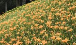 Featured image of post docker compose Hugo